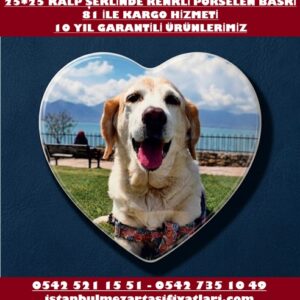 25x25 Ölçülerinde Evcil Hayvan Kalp Şeklinde Porselen Resim Baskı