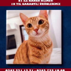 25x25 Ölçülerinde Evcil Hayvan Kare Şeklinde Porselen Resim Baskı
