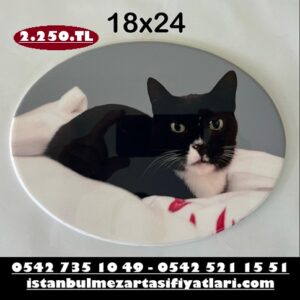 18x24 Oval Evcil Hayvan Porselen Resim