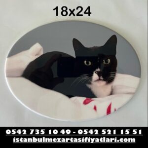 18x24 Oval Evcil Hayvan Porselen Resim