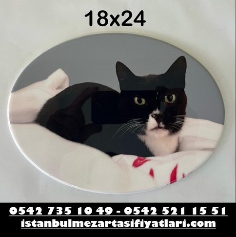 18x24 Oval Evcil Hayvan Porselen Resim - Görsel 2